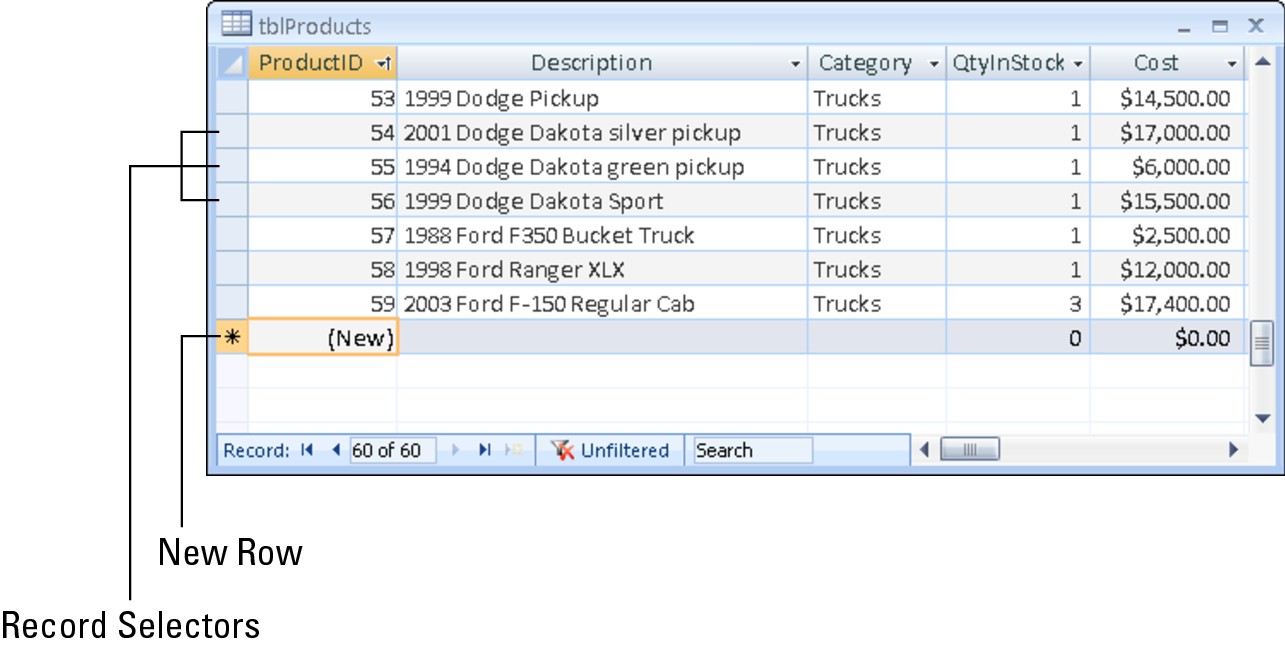 Entering a new record into the datasheet of tblProducts